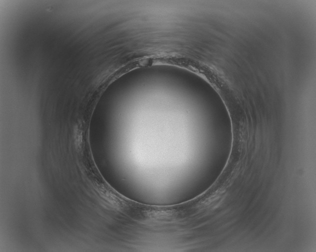 X0000075371257200609151653