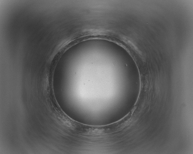 X0000075371261200609151653