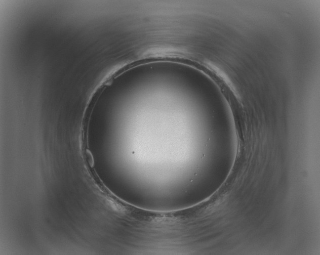 X0000075371277200609151653