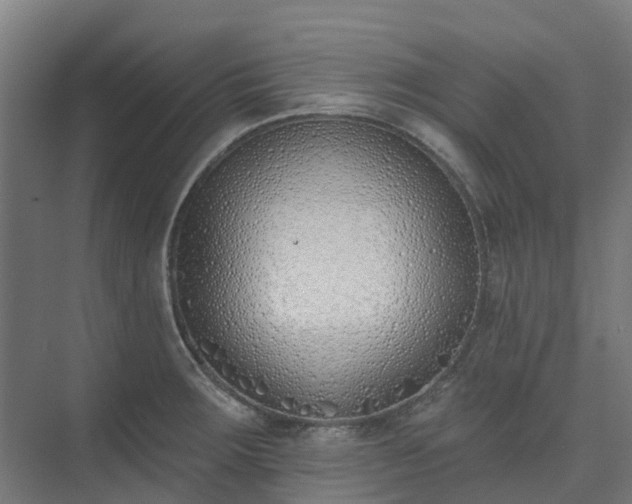 X0000075371283200609151653
