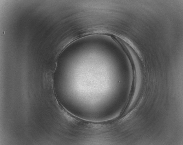 X0000075371289200609151653