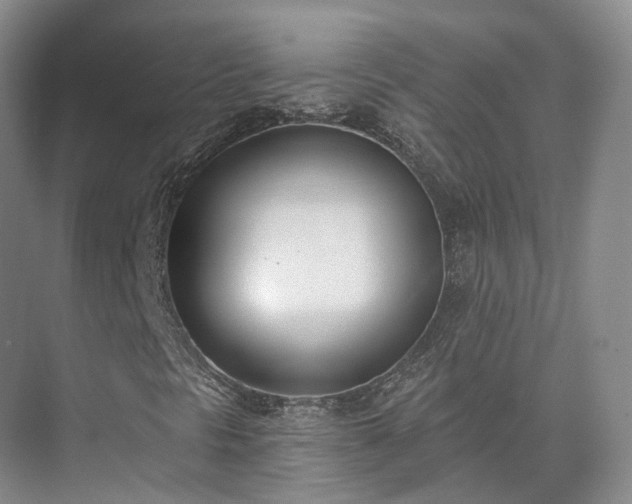 X0000075371297200609151652