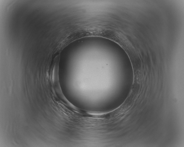 X0000075371298200609151652