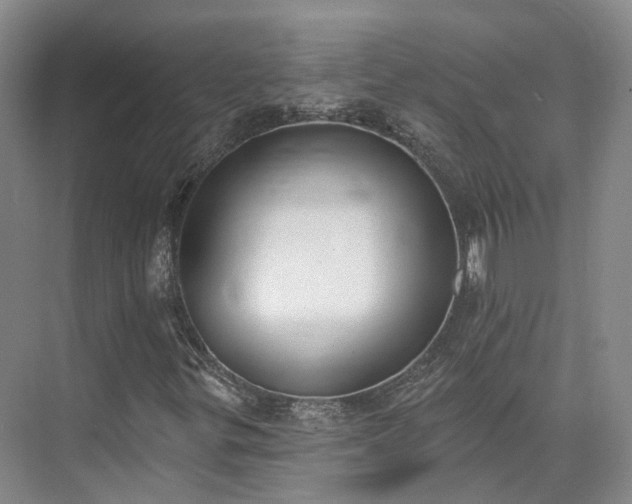 X0000075371299200609151652