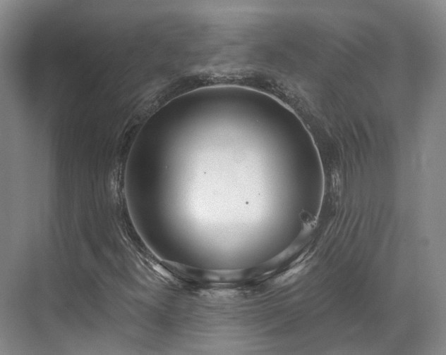 X0000075371300200609151652
