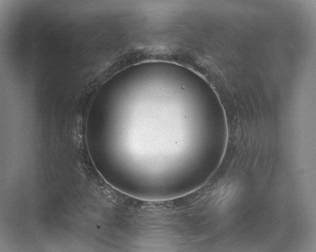 X0000075371301200609151652