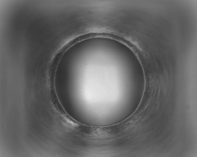 X0000075371311200609151652