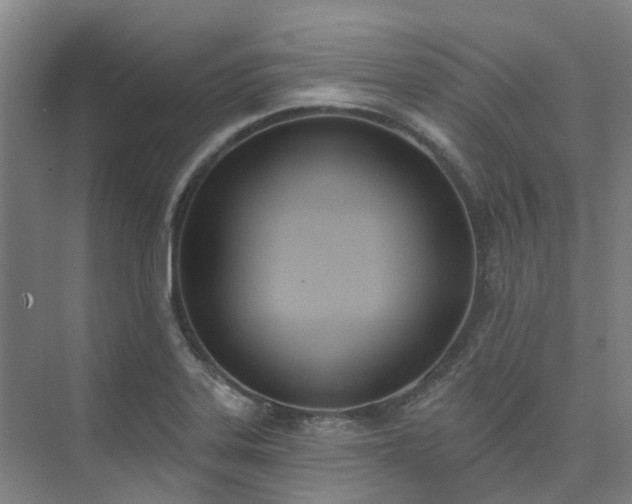 X0000075371323200609151652