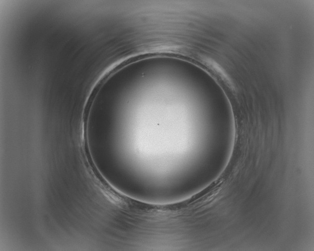 X0000075371324200609151652
