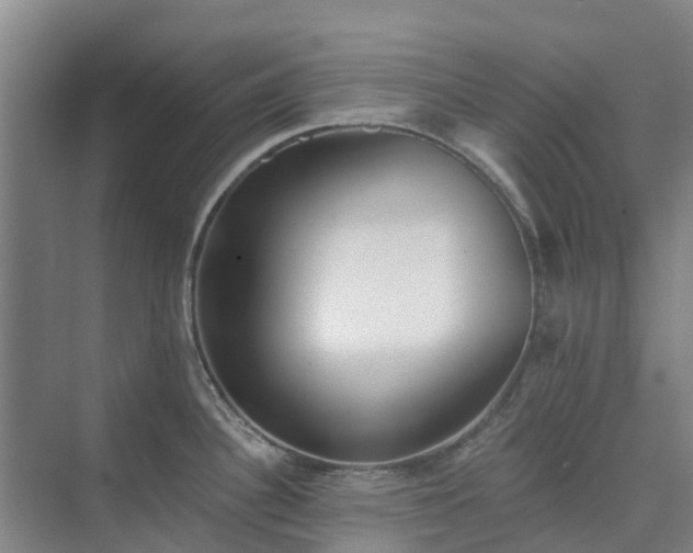 X0000075371340200609151653