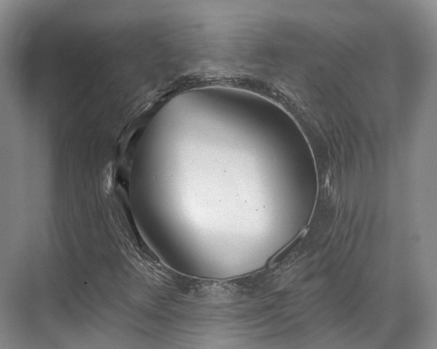 X0000075371348200609151652