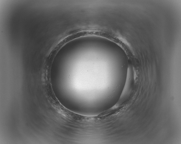 X0000075371352200609151652