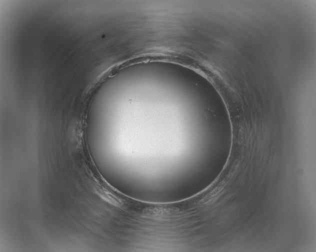 X0000075371355200609151652
