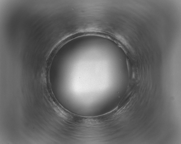 X0000075371356200609151652