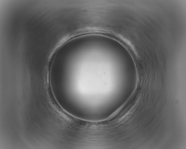 X0000075371365200609151652