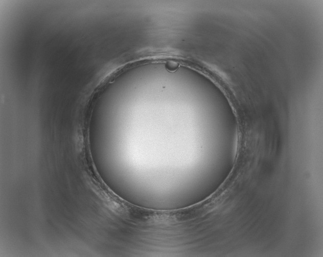 X0000075371407200609151651