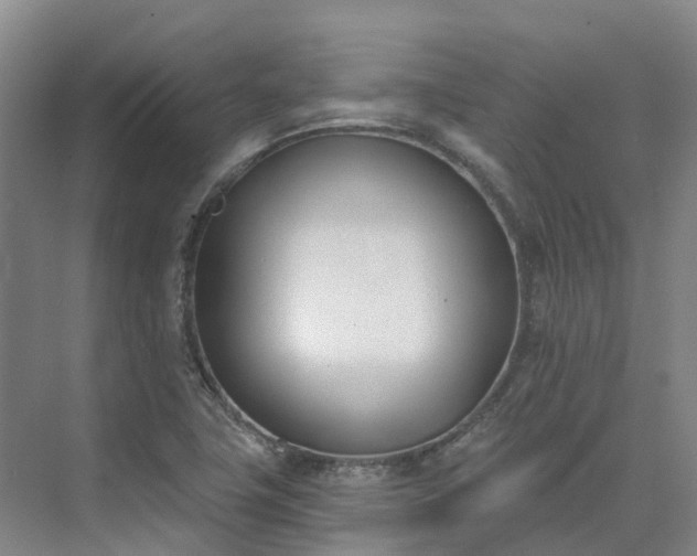 X0000075371411200609151651