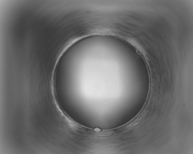 X0000075371440200609151651