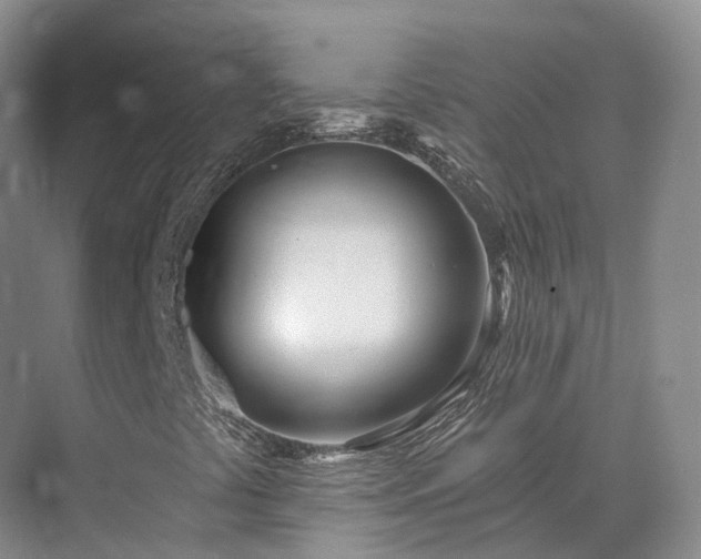 X0000075371441200609151650