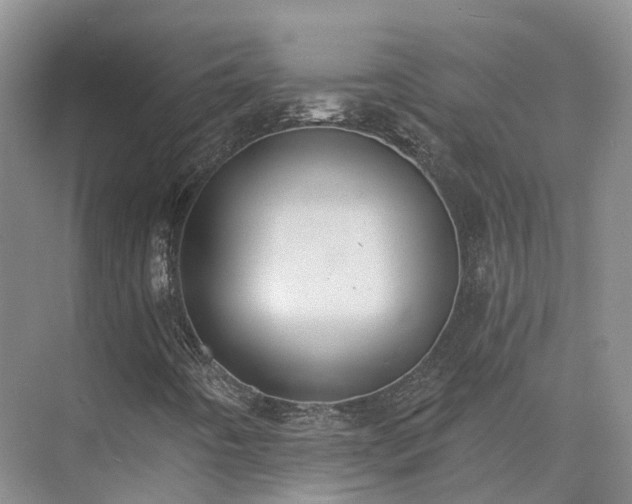 X0000075371442200609151650