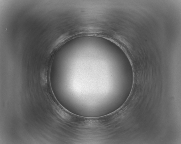 X0000075371451200609151650