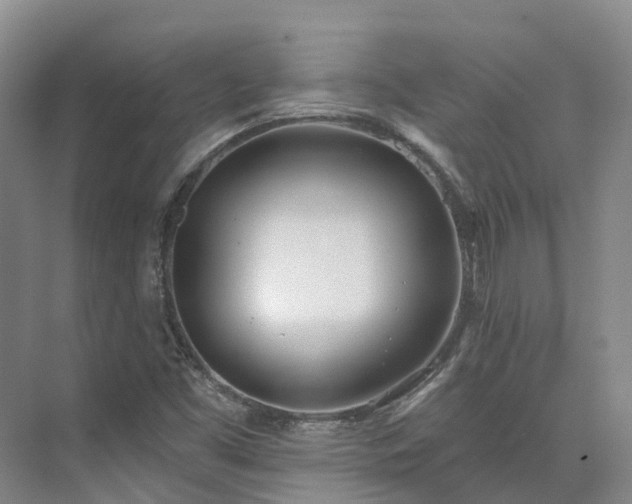 X0000075371453200609151650