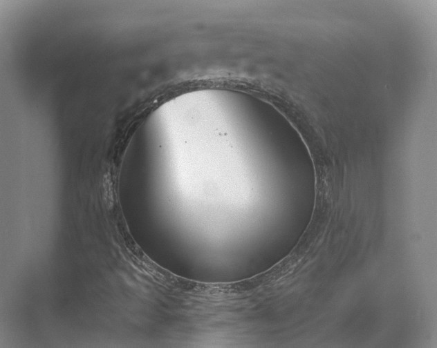 X0000075371493200609151649