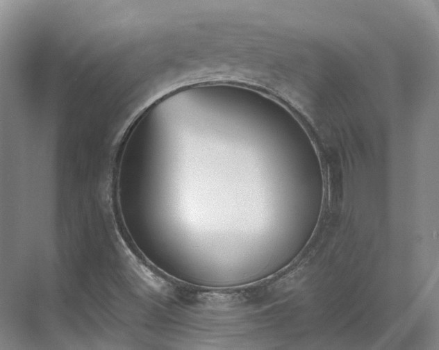 X0000075371500200609151649