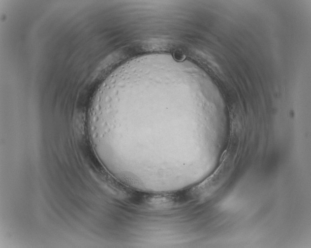 X0000075370171200609251136