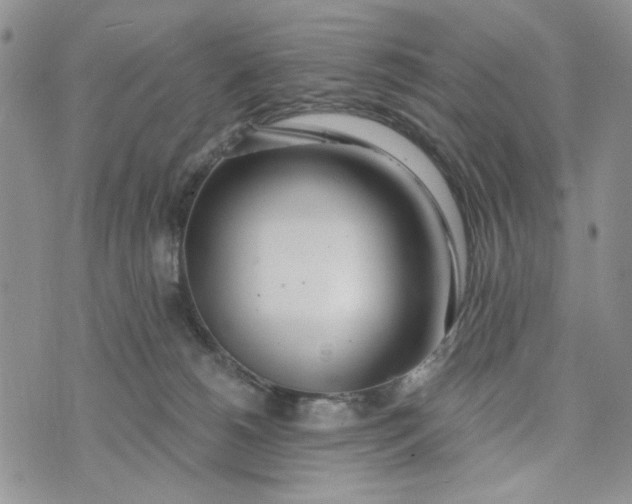 X0000075370180200609251136
