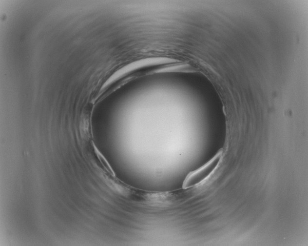 X0000075370192200609251136