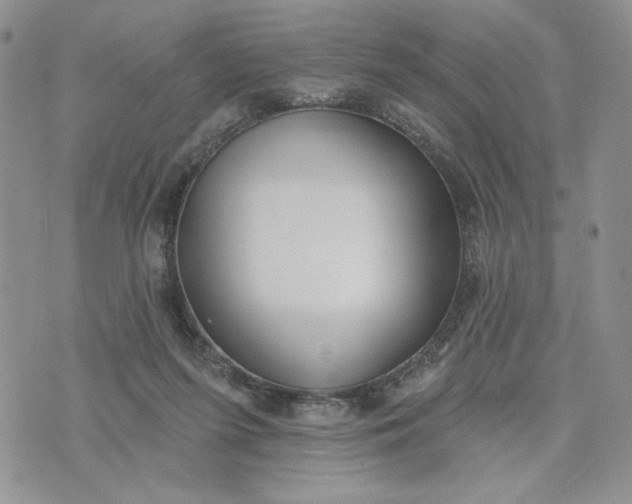 X0000075370215200609251135