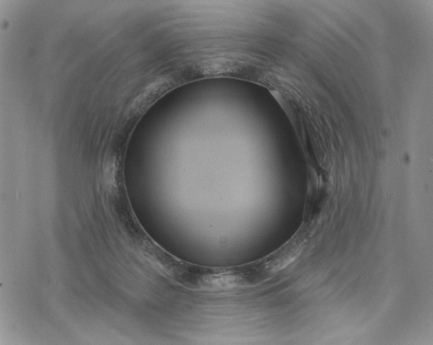 X0000075370219200609251135