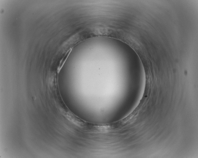 X0000075370233200609251135