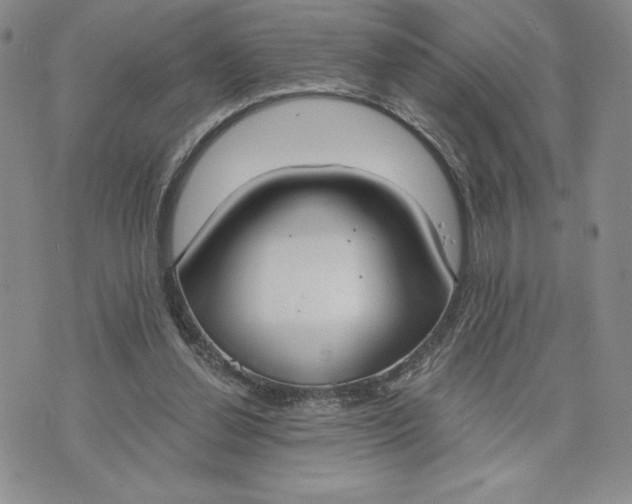 X0000075370252200609251134