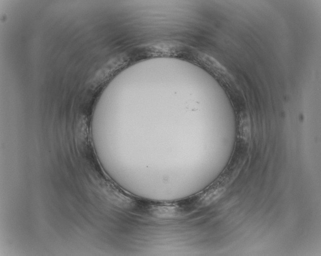 X0000075370318200609251133