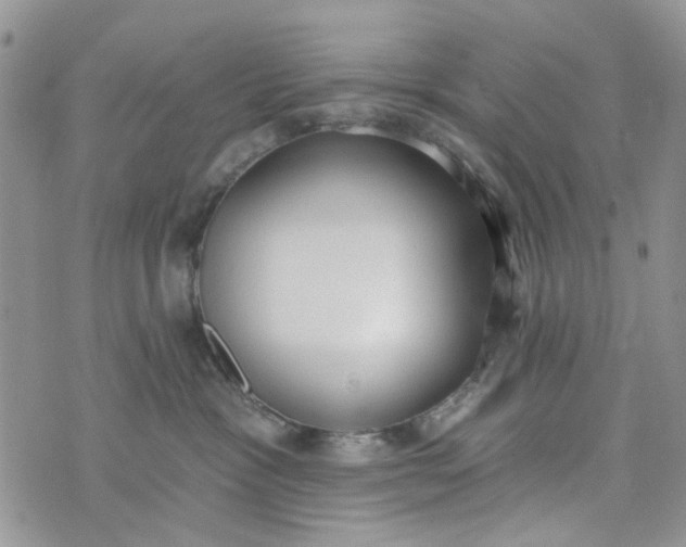 X0000075370333200609251133