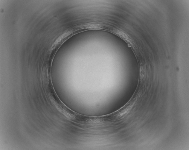 X0000075370349200609251132
