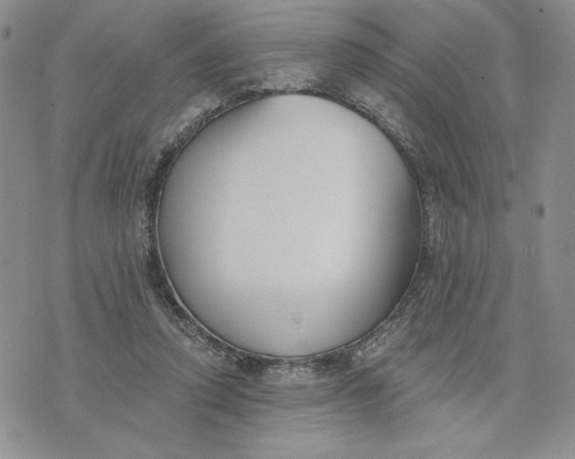 X0000075370354200609251133