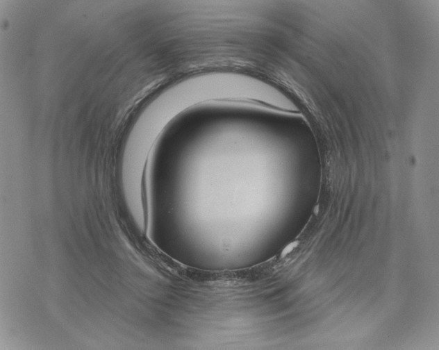 X0000075370356200609251133