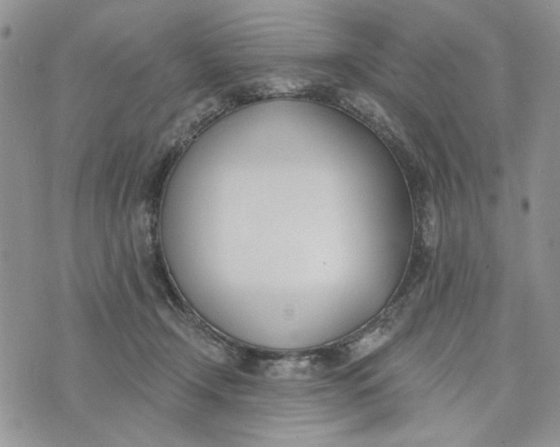 X0000075370366200609251133