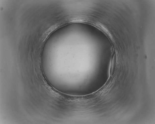 X0000075370385200609251132