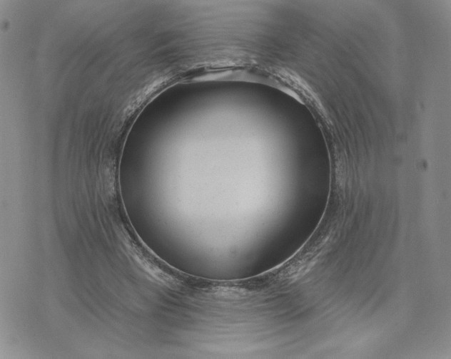 X0000075370393200609251132
