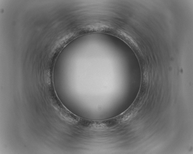 X0000075370403200609251132