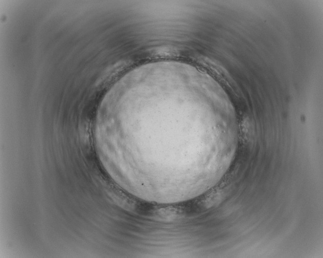 X0000075370423200609251132
