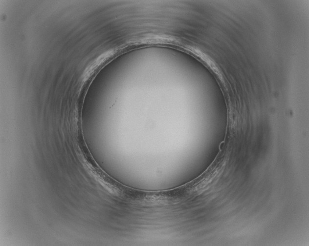 X0000075370437200609251131