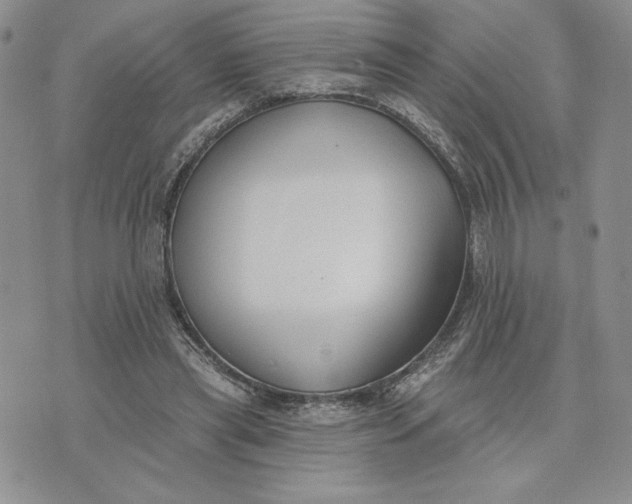 X0000075370445200609251131