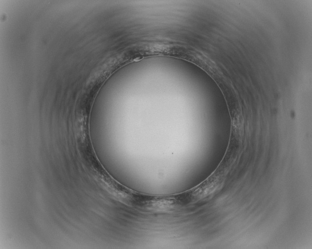 X0000075370462200609251131