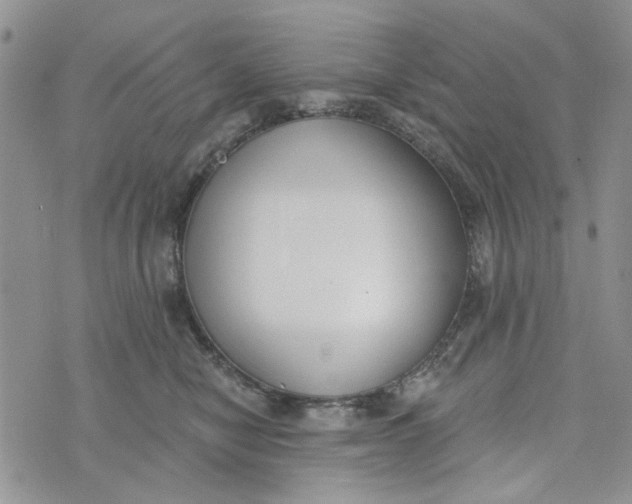 X0000075370470200609251131
