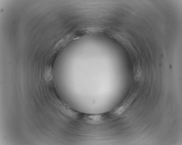 X0000075370478200609251131